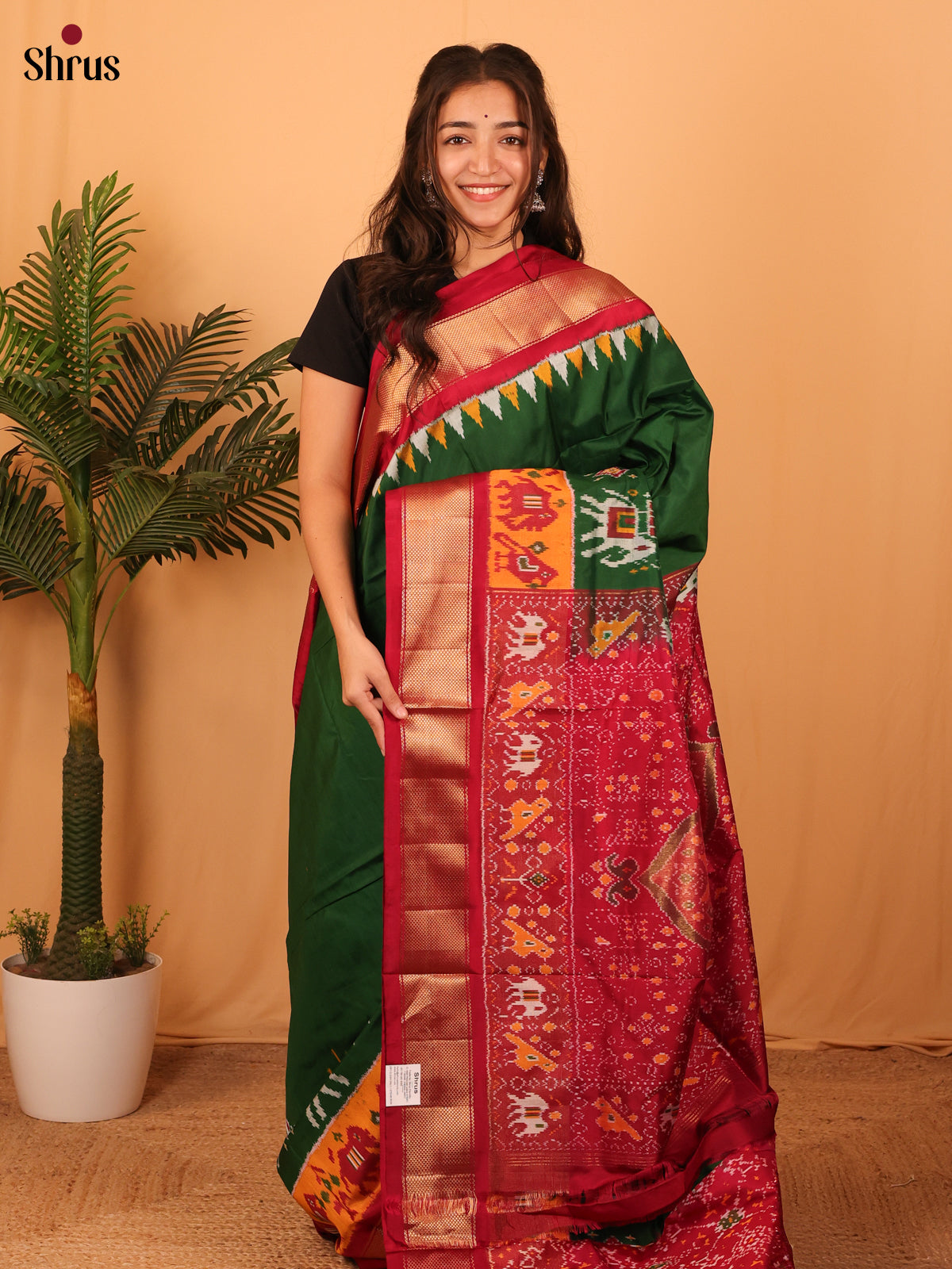 Green & Maroon - Ikkat Silk Saree