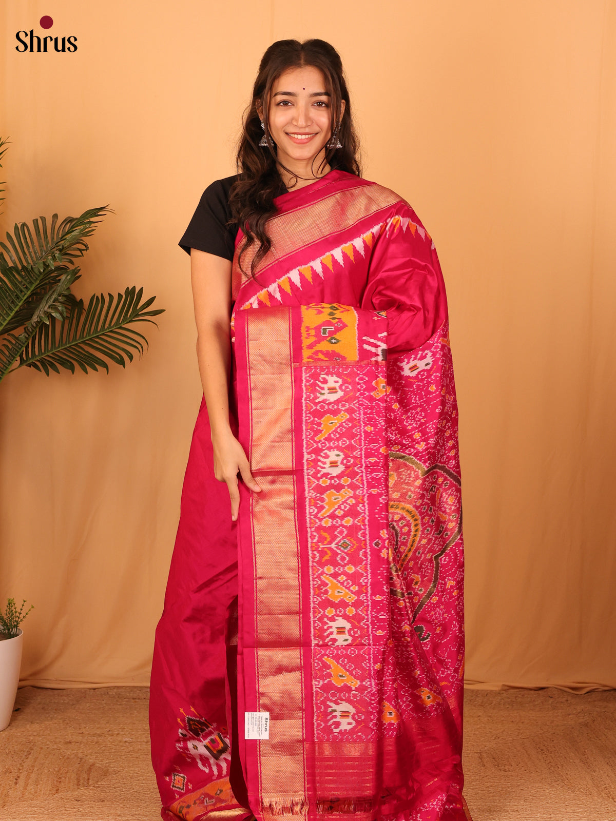 DAS06204 - Ikkat Silk Saree