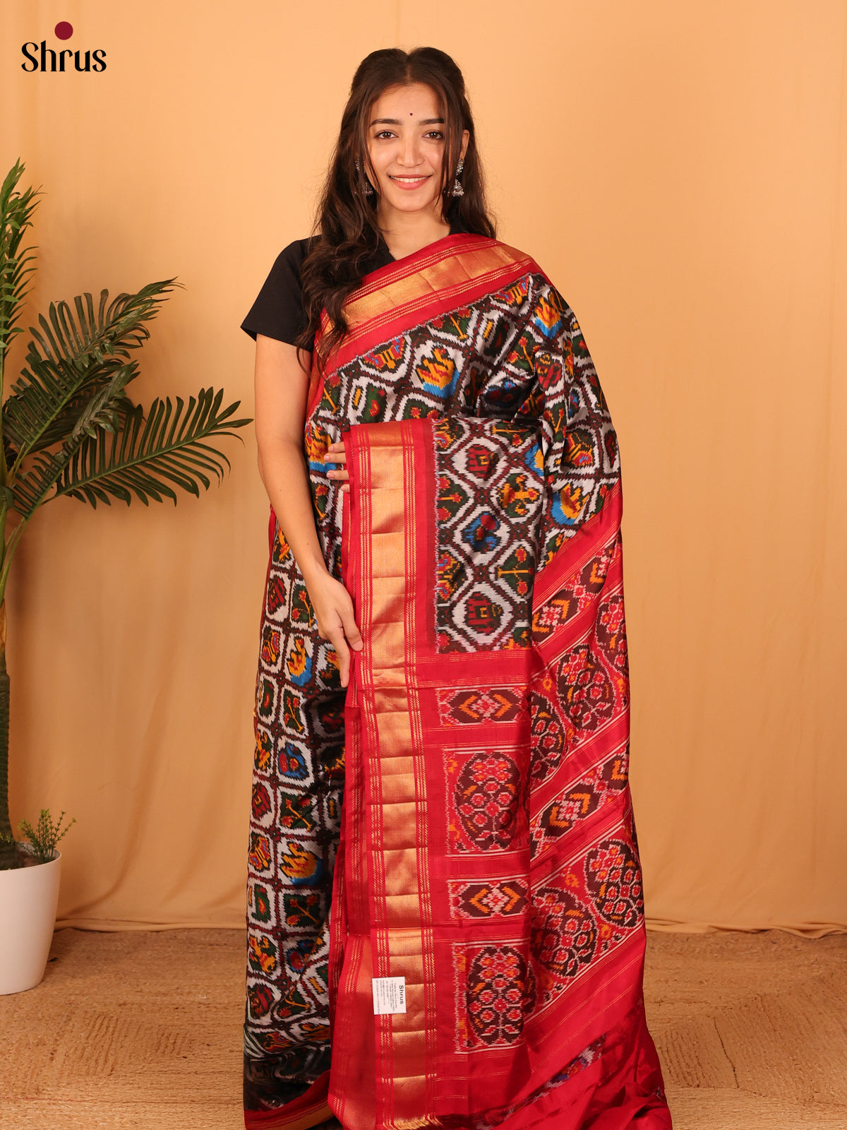 DAS06211 - Ikkat Silk Saree