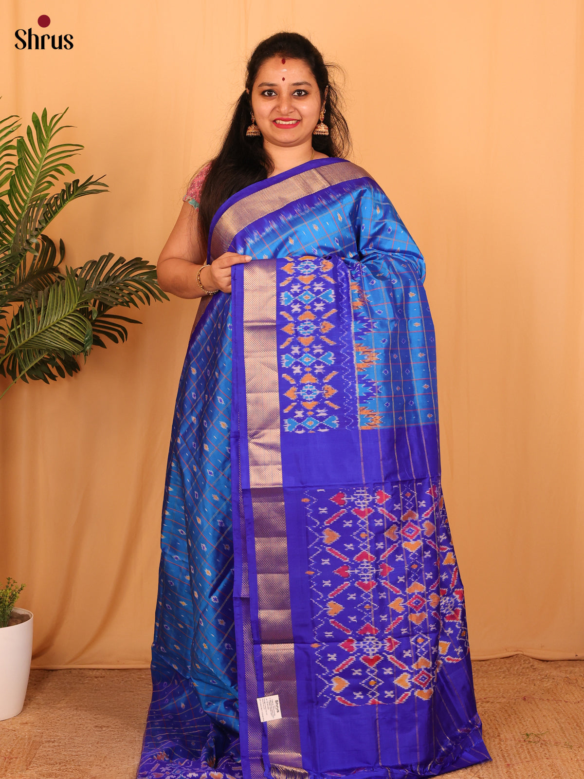 Blue & Purple - Ikkat Silk Saree