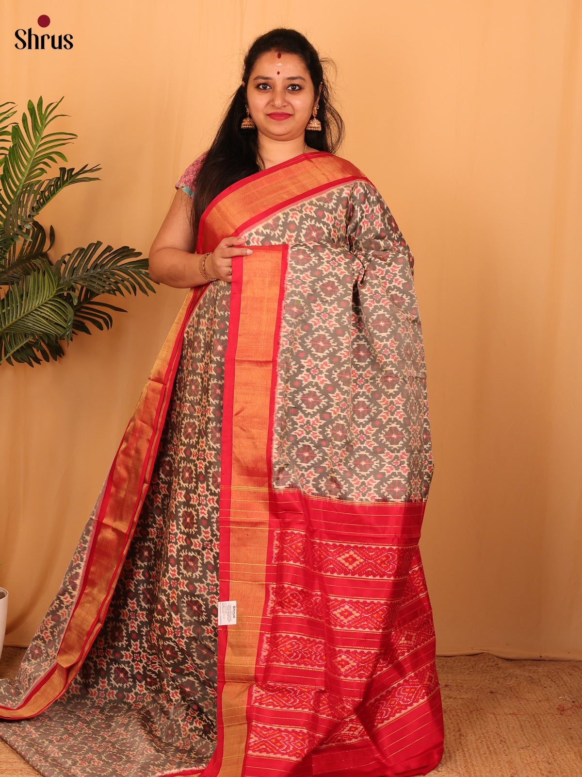 Grey &  Red - Ikkat Silk Saree