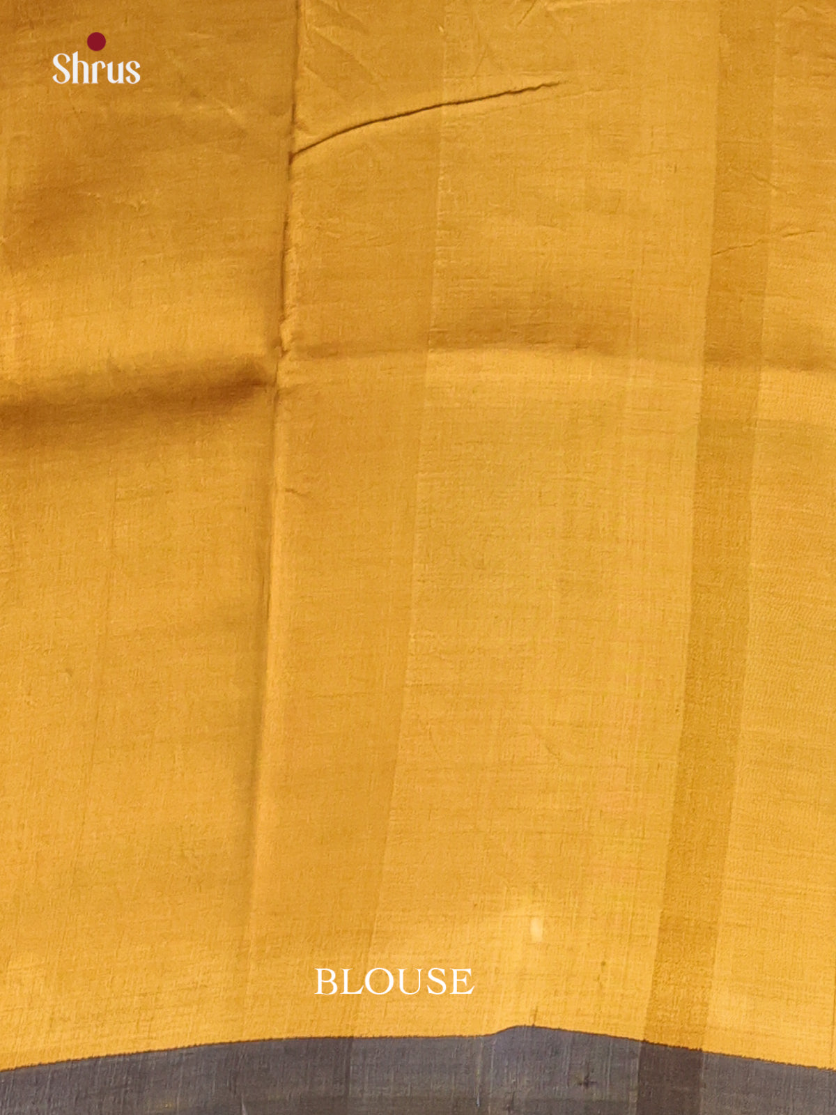 Grey & Beige - Murshidabad Silk Saree