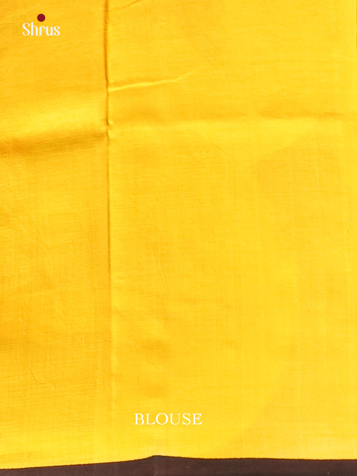 Beige & Yellow - Murshidabad Silk Saree