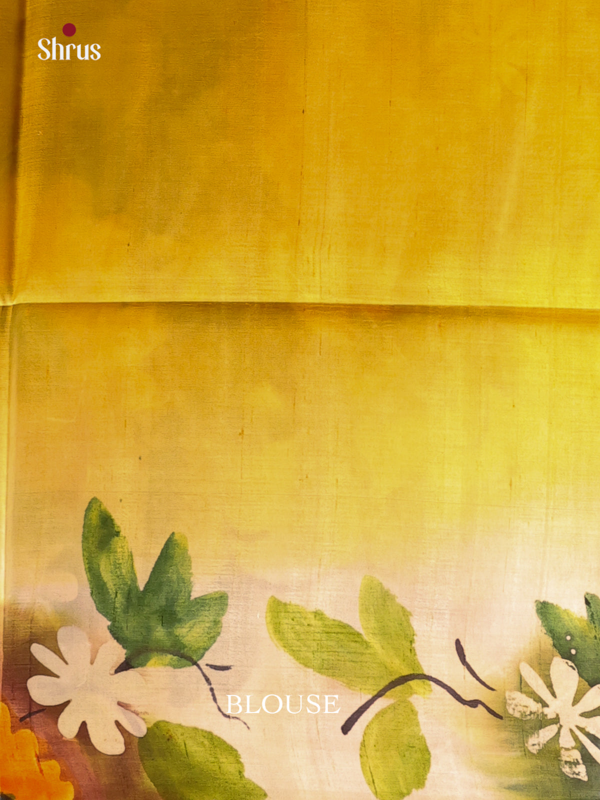 Yellow & Cream- Murshidabad Silk Saree