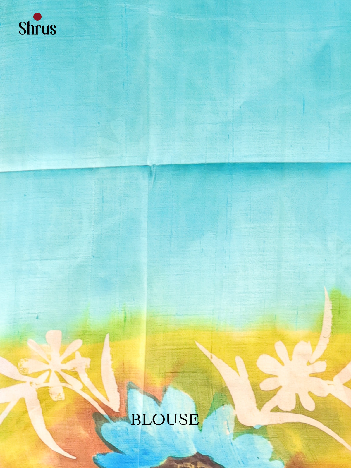 Blue & Green - Murshidabad Silk Saree