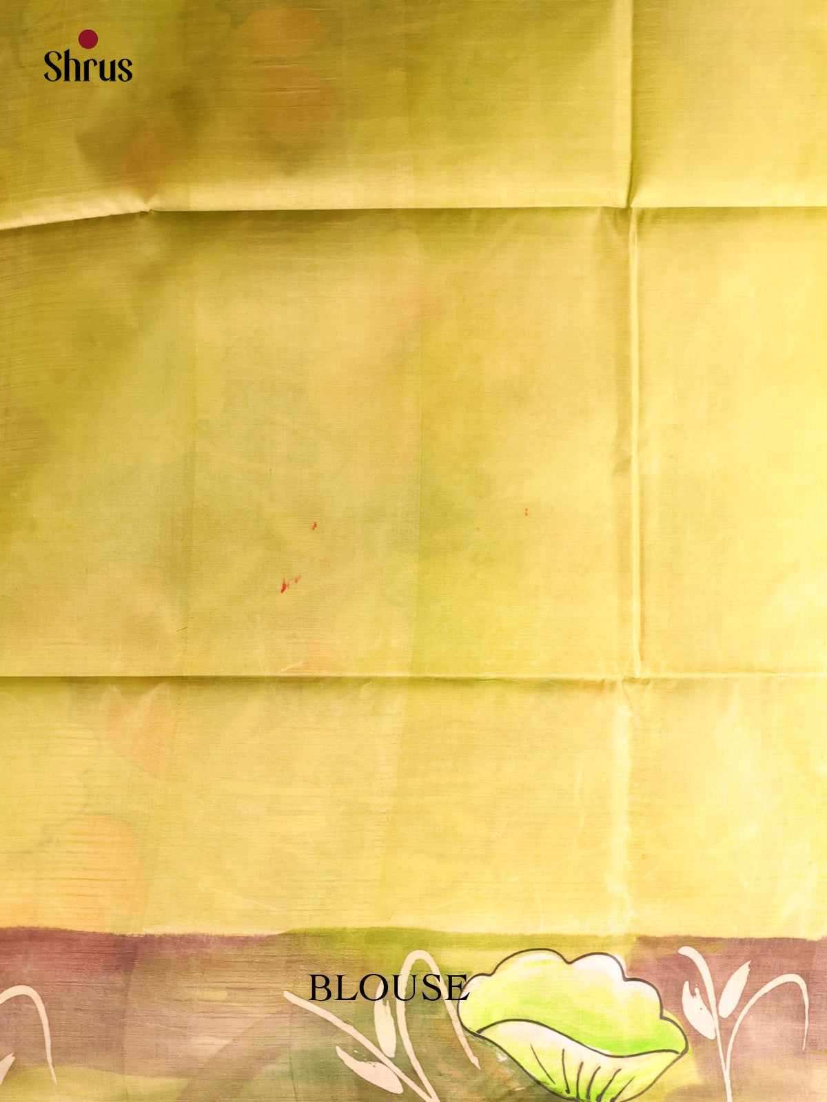 Green - Murshidabad Silk Saree