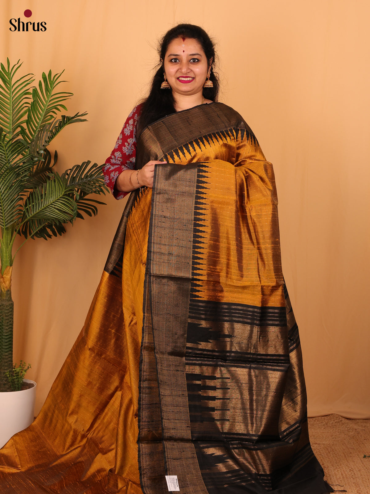 DAS06404 - Raw Silk Saree - Shop on Shrus.com