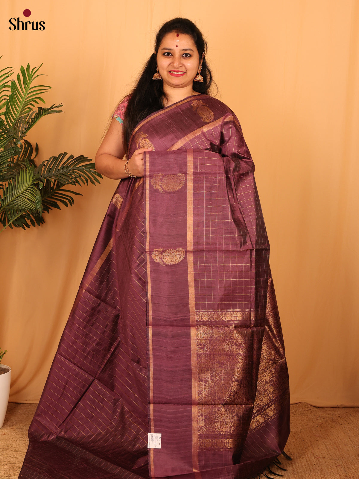 Brown(Single Tone) - Raw Silk Saree