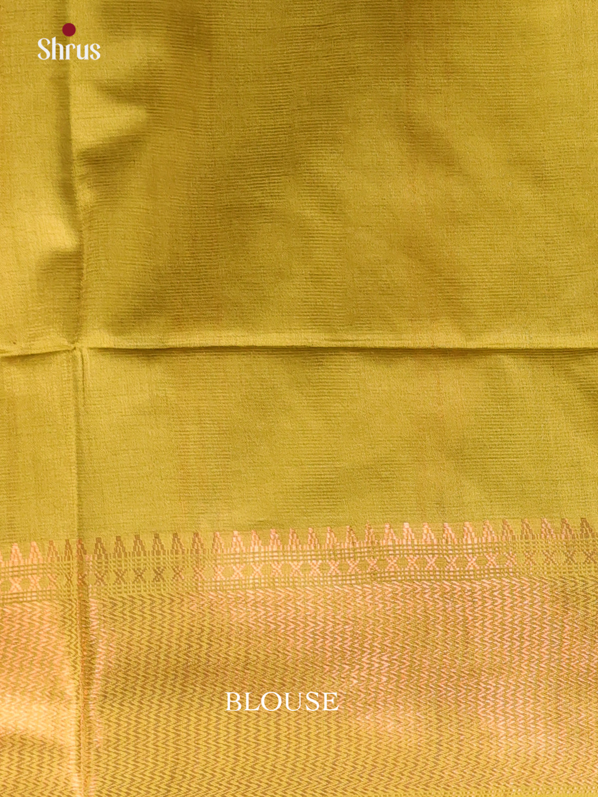 DAS08105 - Shibori Saree