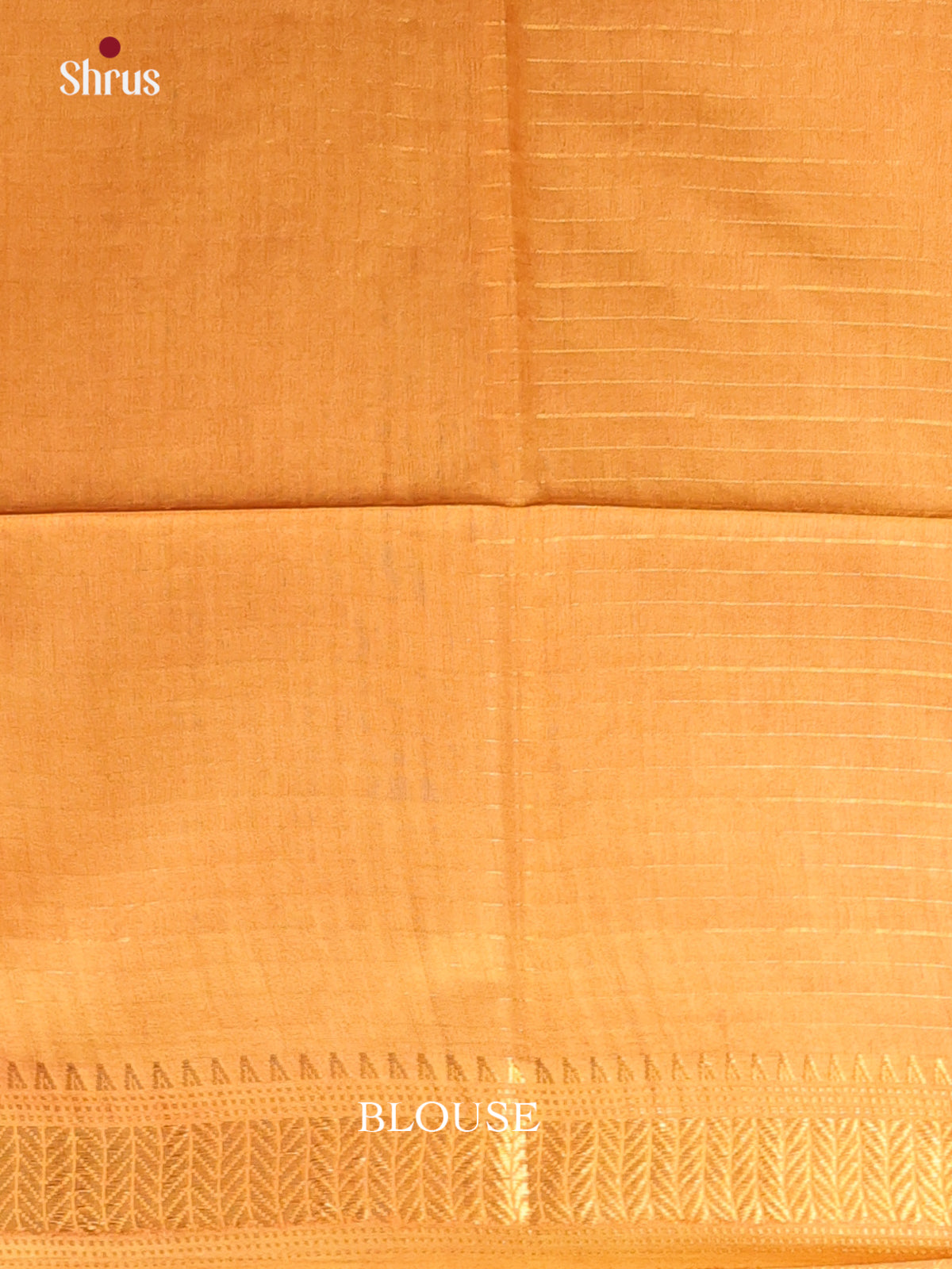 DAS08126 - Shibori Saree