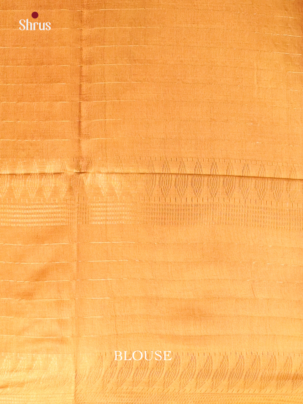 DAS08145 - Shibori Saree