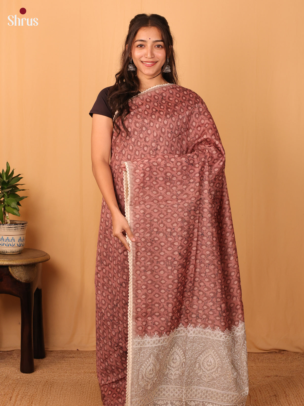 Brown & Grey - Semi Kantha Saree - Shop on Shrus.com