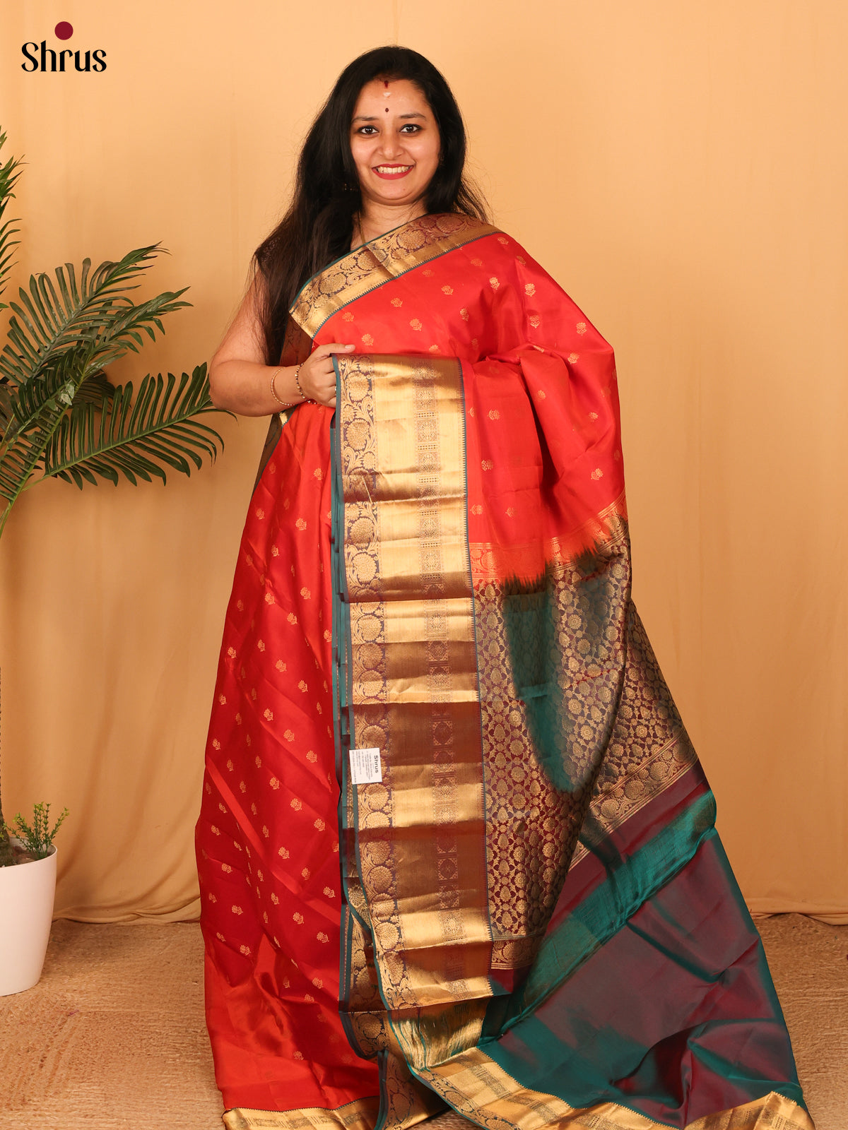 DAS09094 - Kanchipuram silk Saree - Shop on Shrus.com