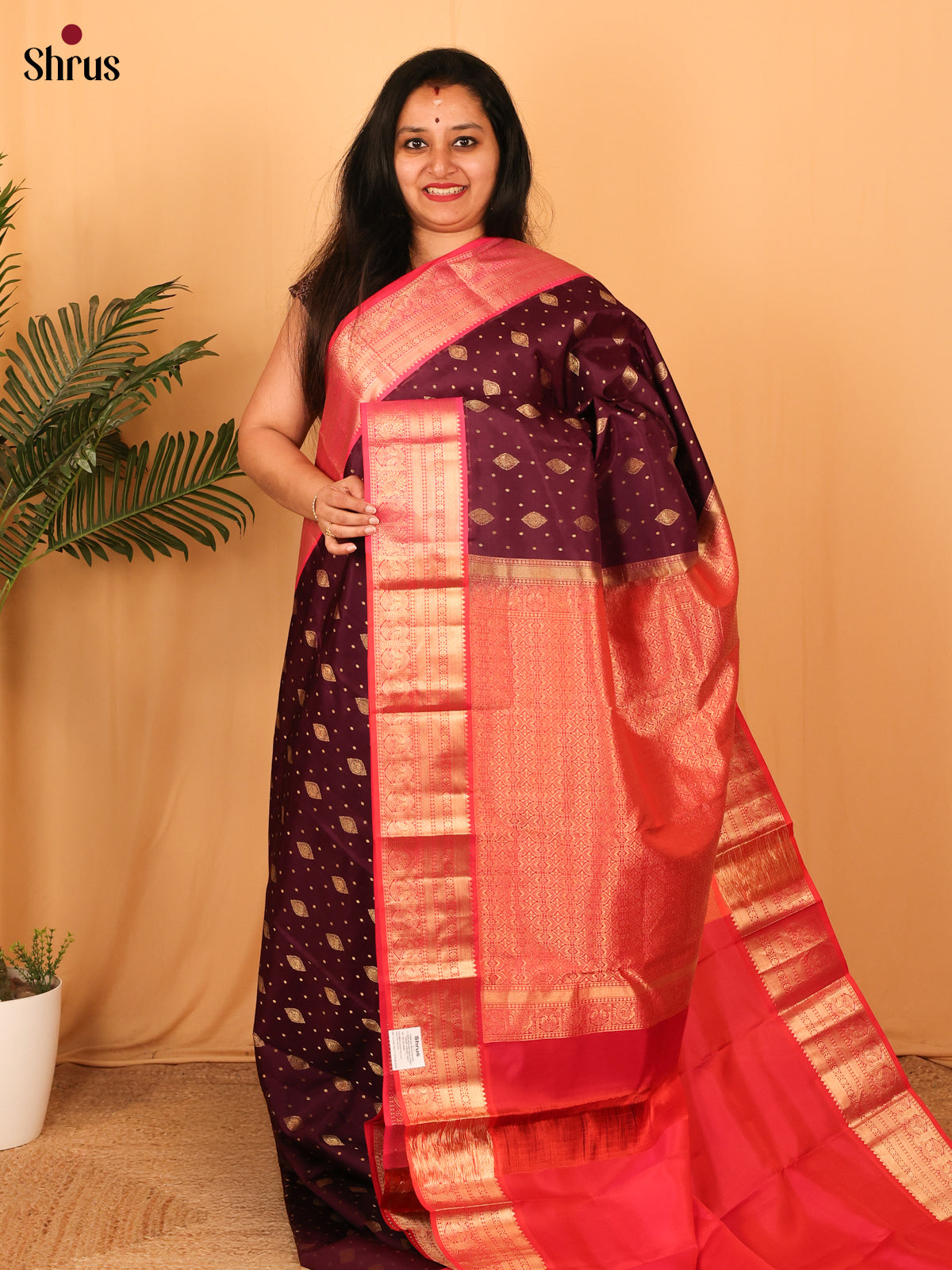 DAS09108 - Kanchipuram silk Saree