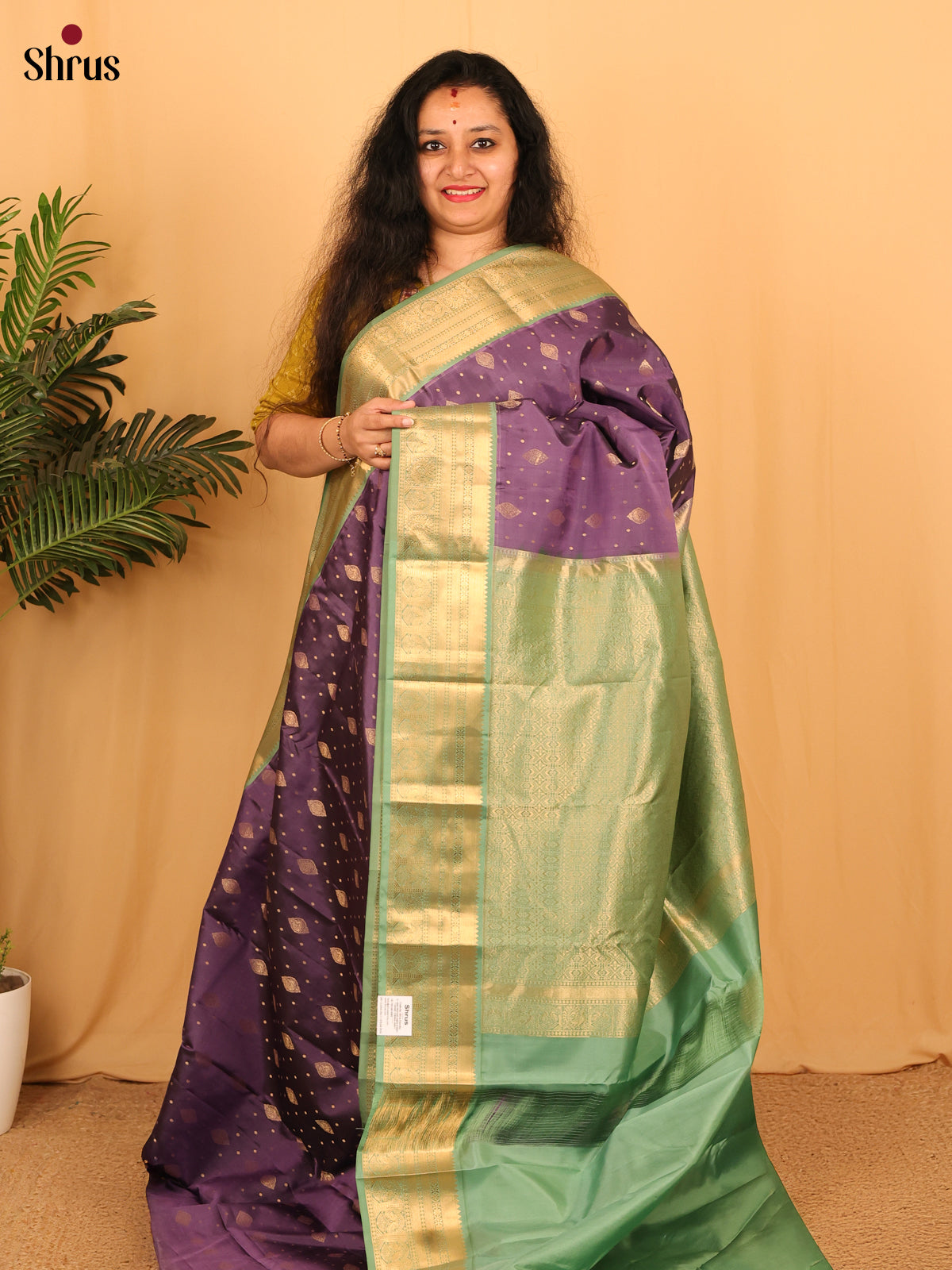 DAS09110 - Kanchipuram silk Saree