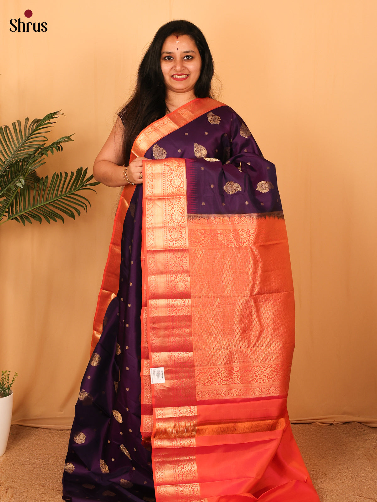 DAS09112 - Kanchipuram silk Saree