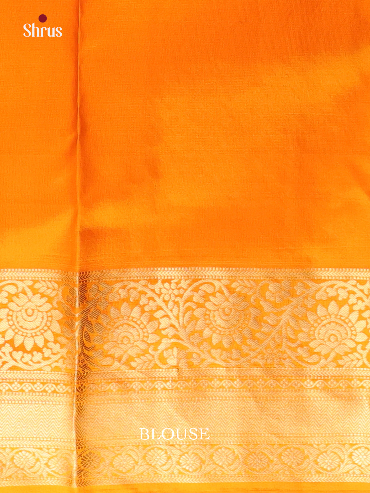 DAS09113 - Kanchipuram silk Saree