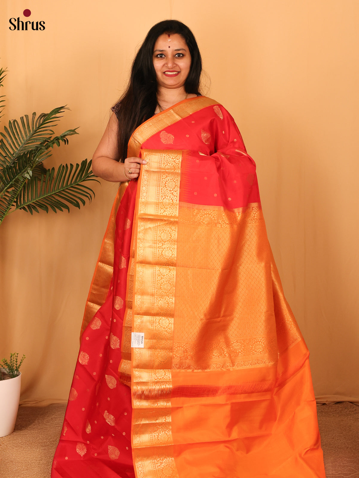 DAS09113 - Kanchipuram silk Saree