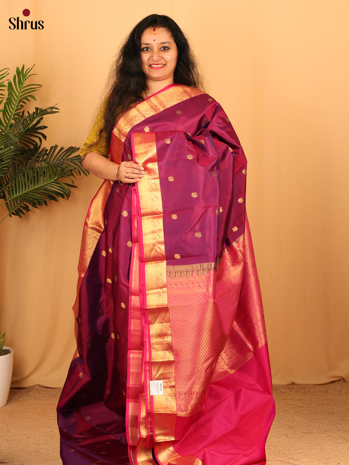 DAS09116 - Kanchipuram silk Saree