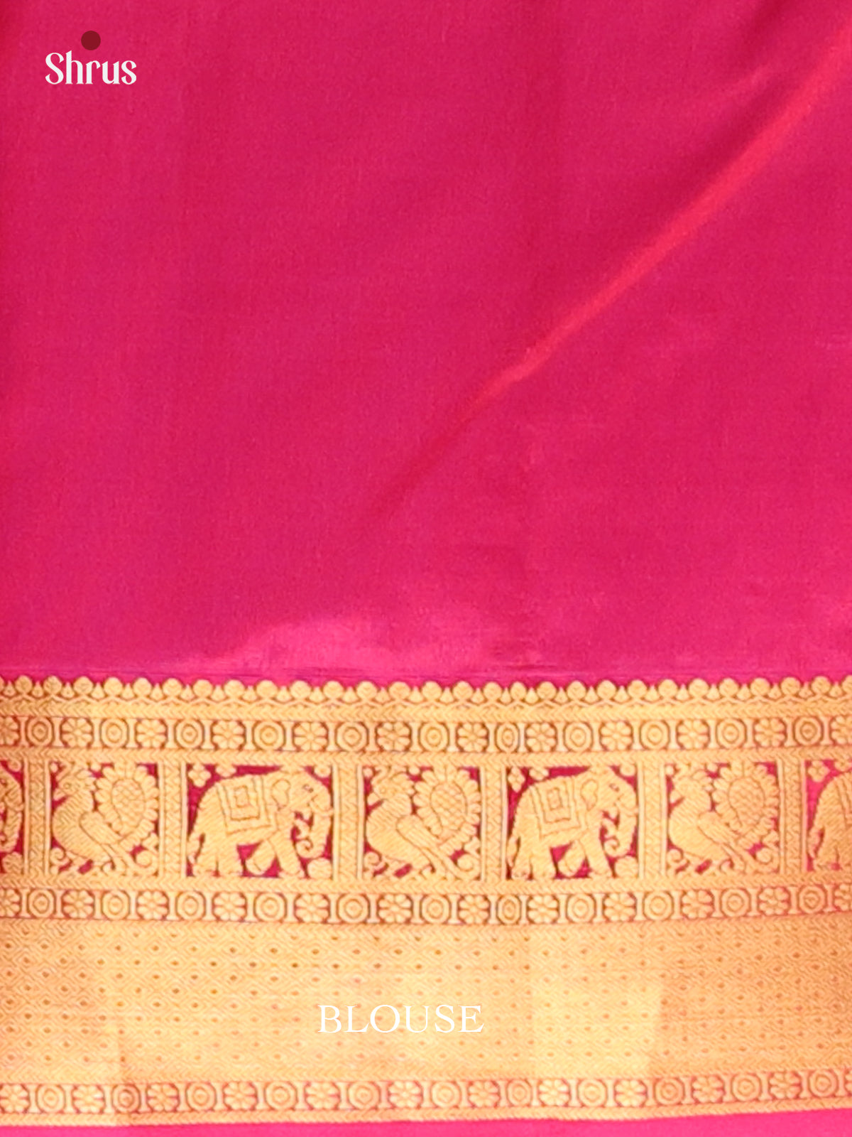 DAS09116 - Kanchipuram silk Saree