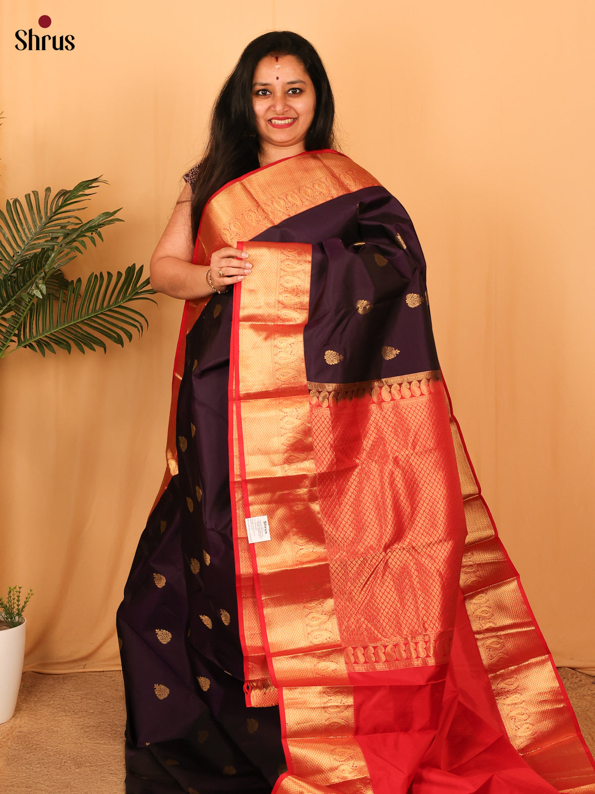 Violet & Red - Kanchipuram silk Saree