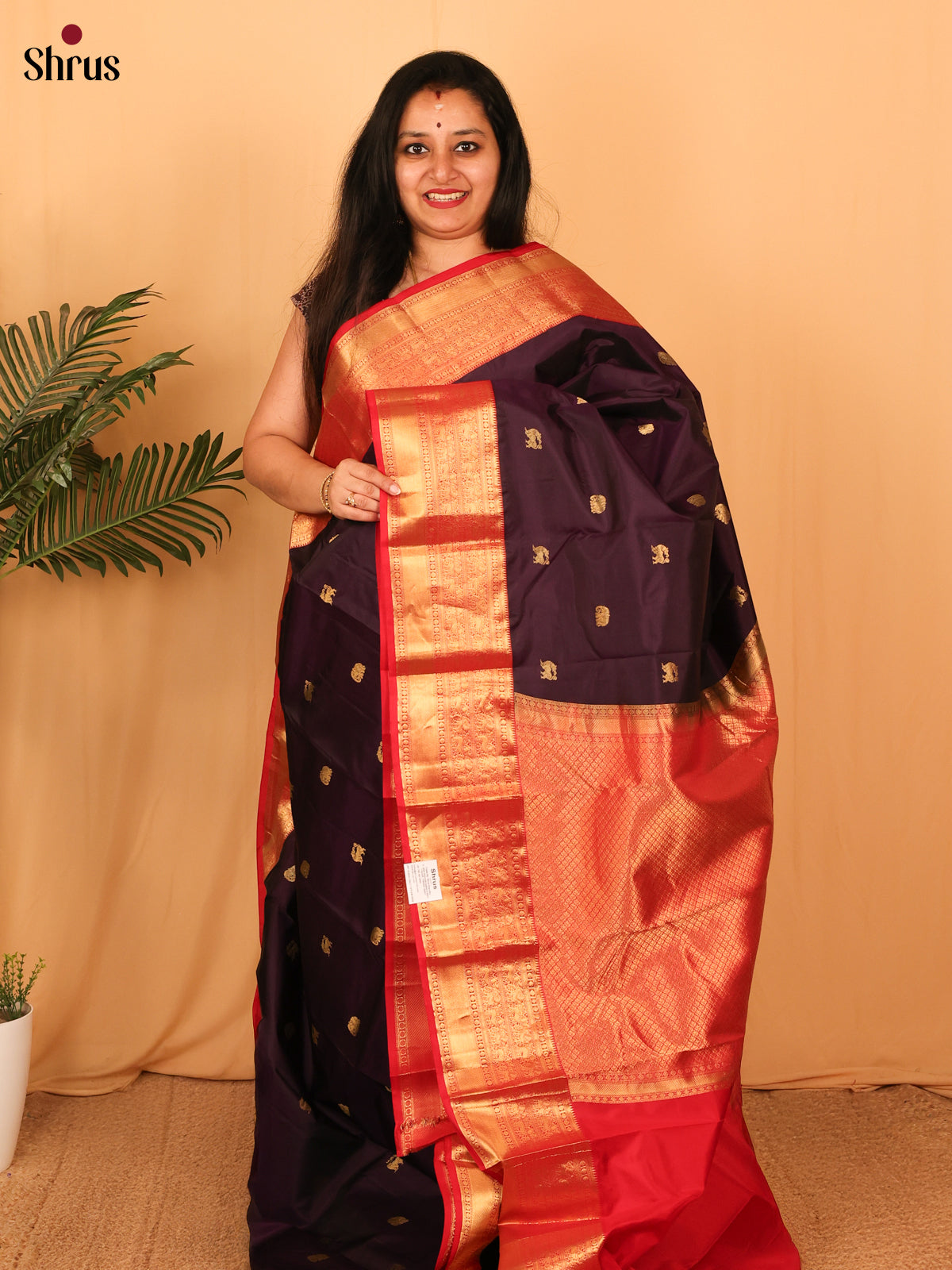 DAS09134 - Kanchipuram silk Saree