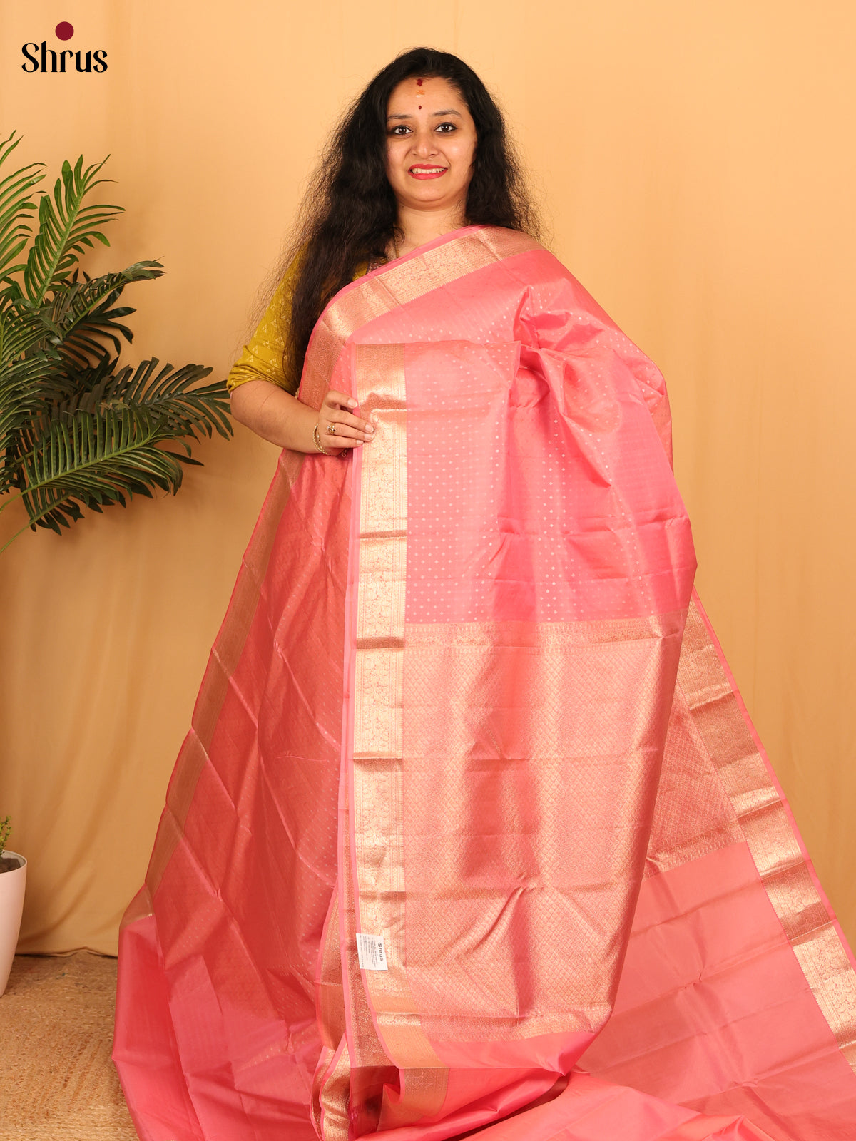 DAS09151 - Kanchipuram silk Saree