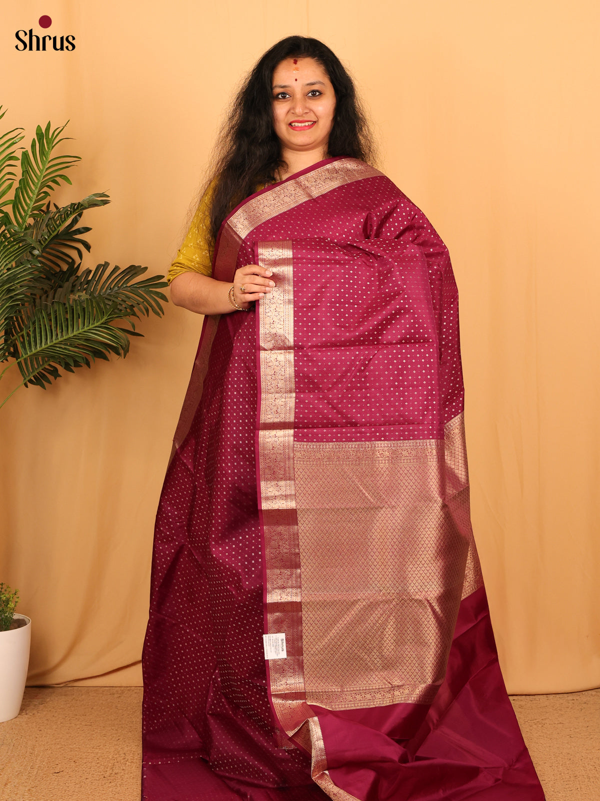 Maroon(Single Tone) - Kanchipuram silk Saree