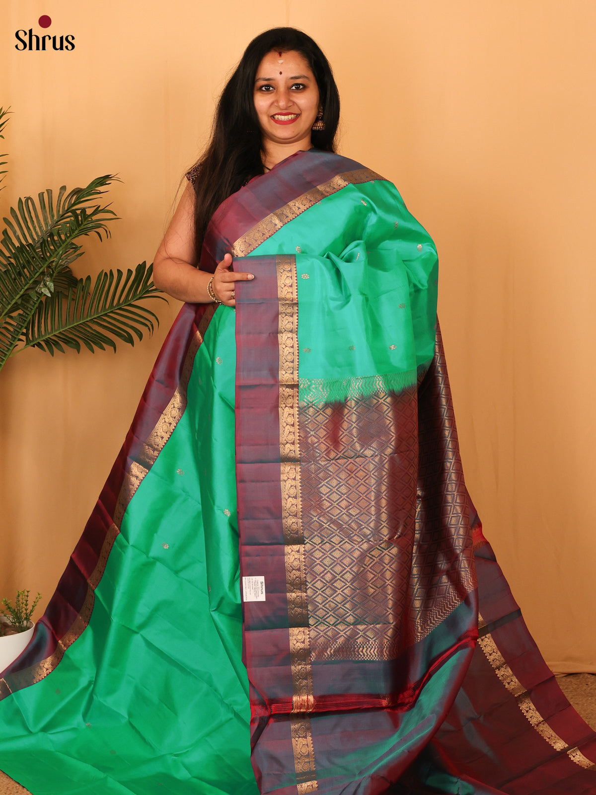 Green & Maroon - Kanchipuram silk Saree