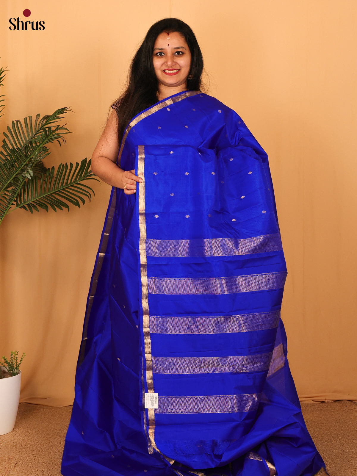 MS Blue(Single Tone) - Kanchipuram silk Saree