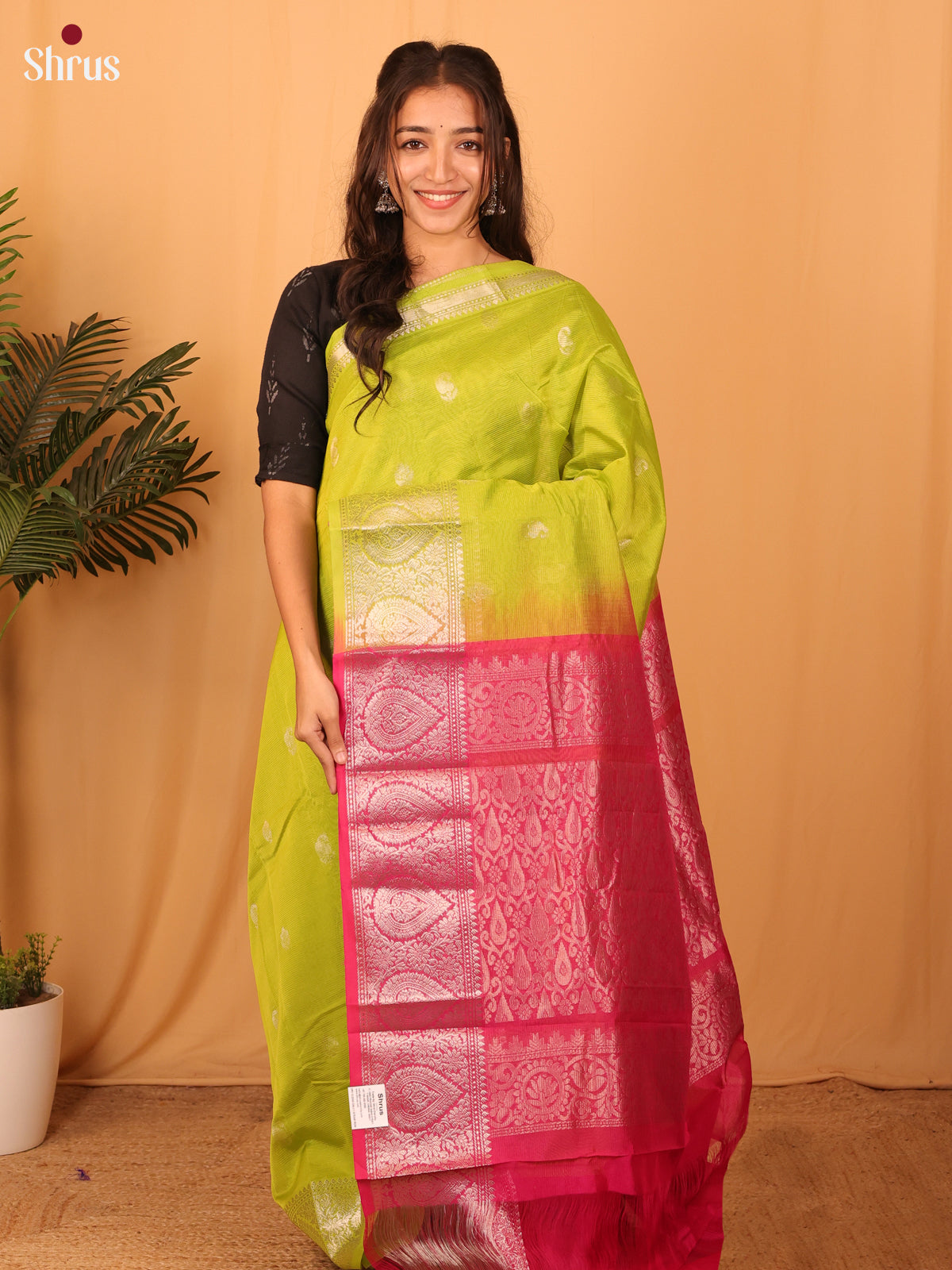 DAS09244 - Mangalagiri silkcotton Saree