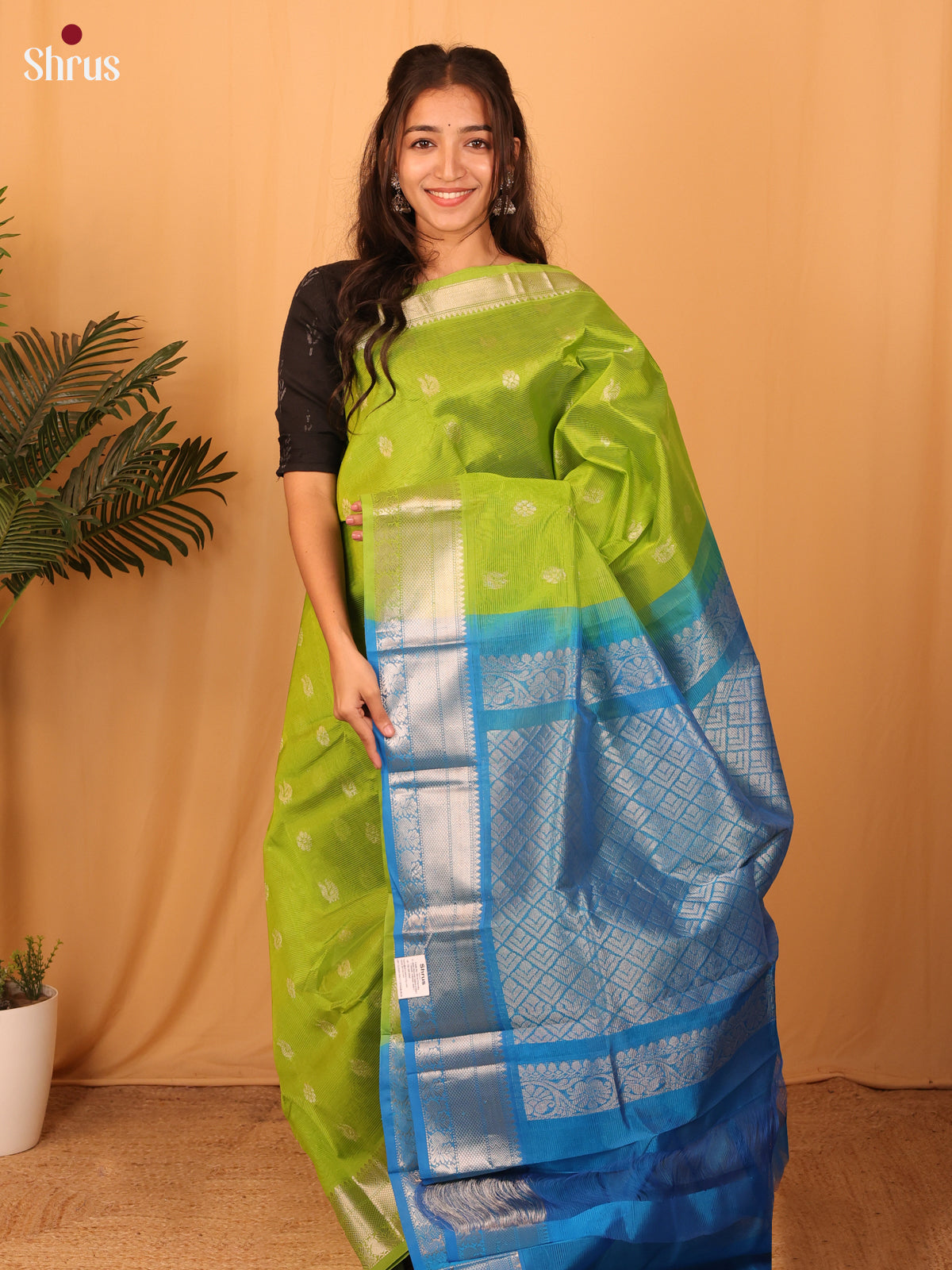 DAS09253 - Mangalagiri silkcotton Saree