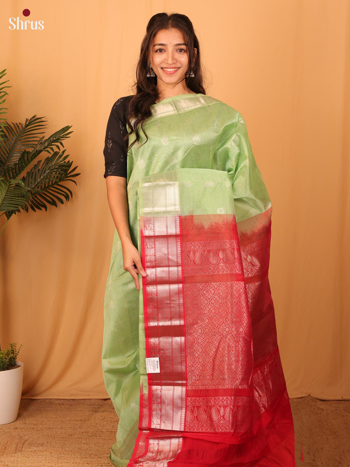 DAS09264 - Mangalagiri silkcotton Saree