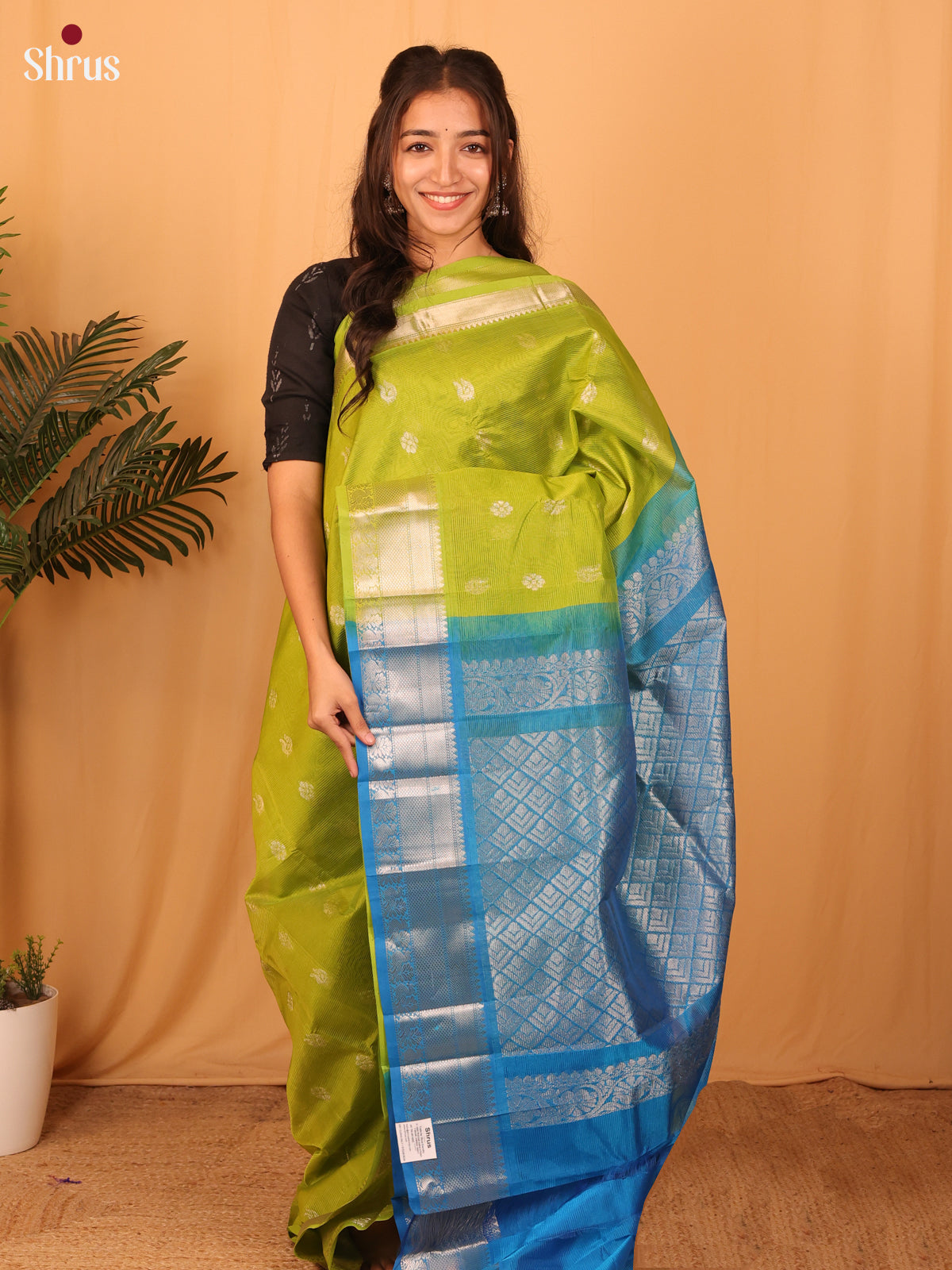 DAS09265 - Mangalagiri silkcotton Saree