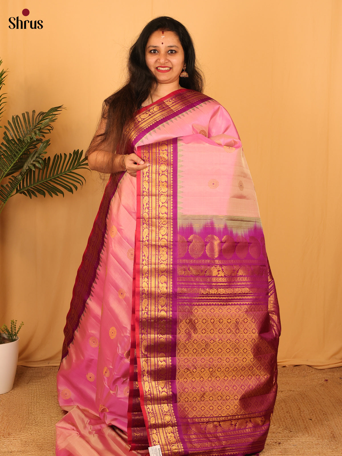 DAS09267 - Gadwal silk Saree