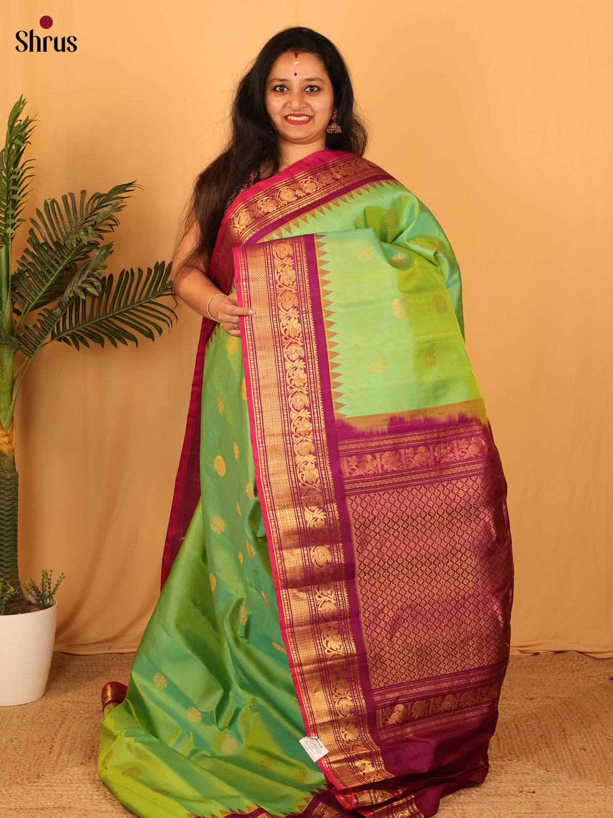 DAS09270 - Gadwal silk Saree