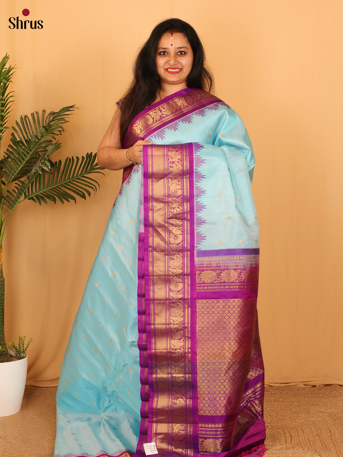 DAS09271 - Gadwal silk Saree