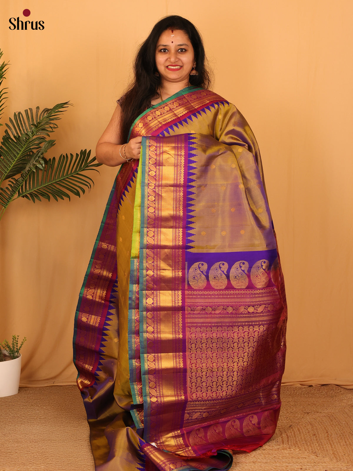 DAS09273 - Gadwal silk Saree