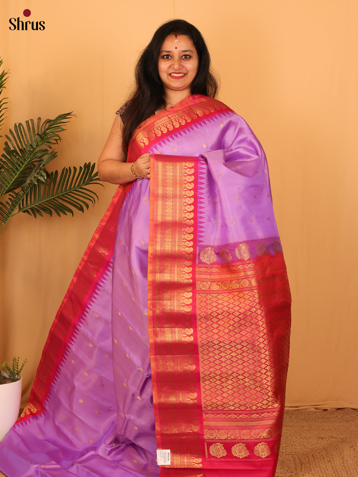 DAS09275 - Gadwal silk Saree