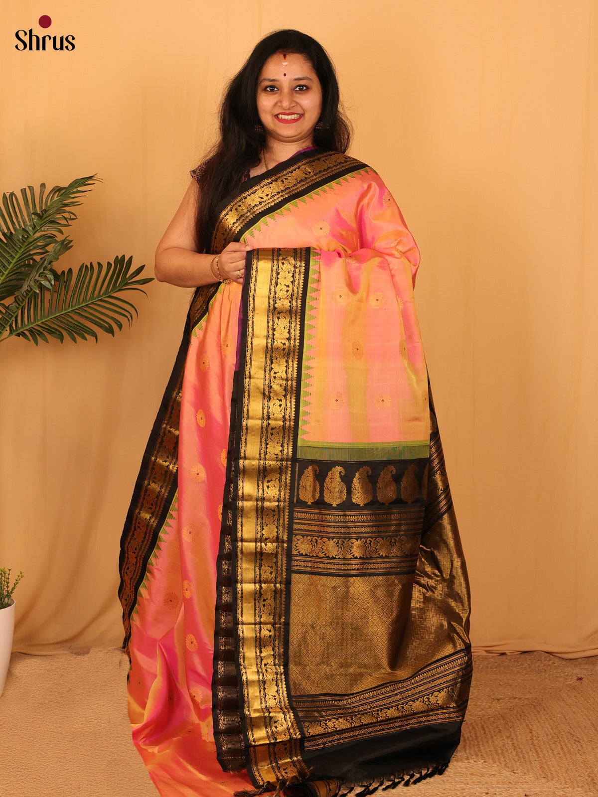 DAS09276 - Gadwal silk Saree