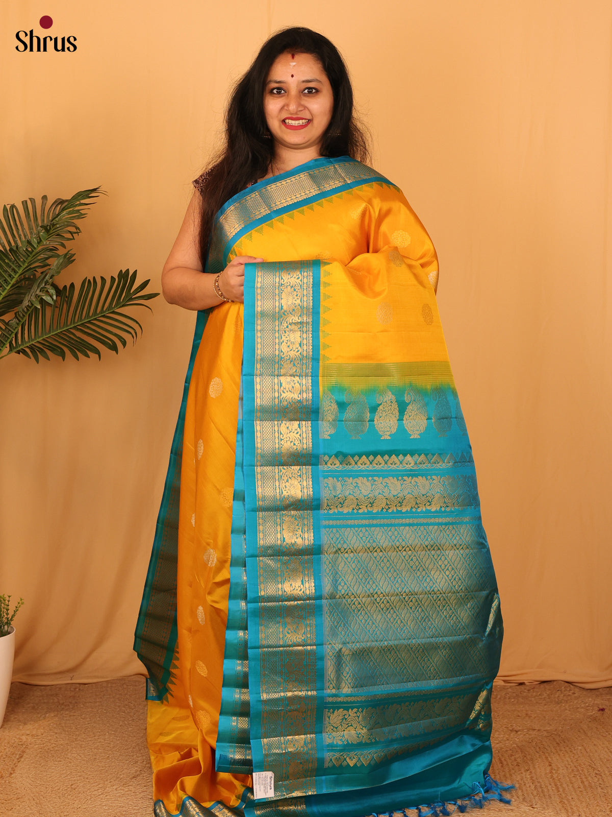 DAS09277 - Gadwal silk Saree