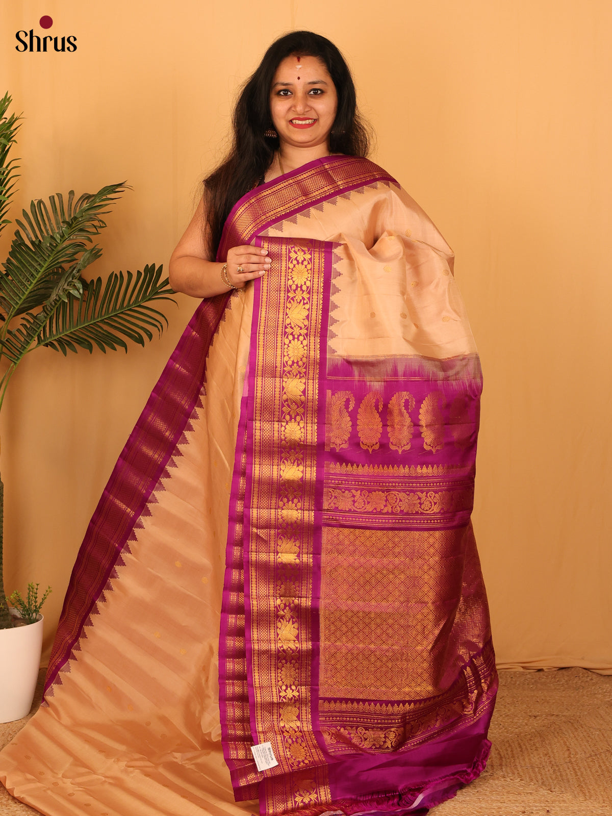 DAS09279 - Gadwal silk Saree