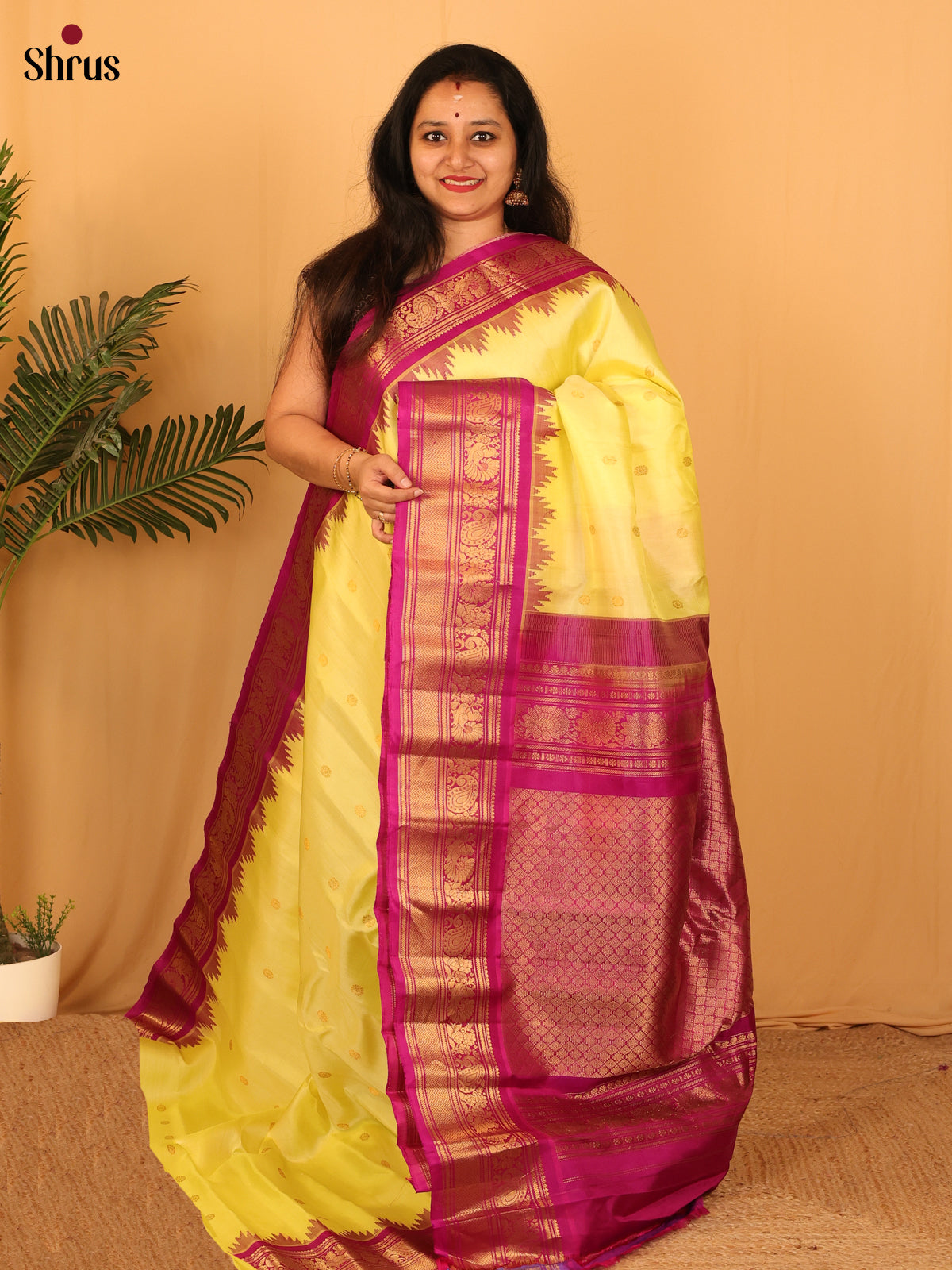 DAS09281 - Gadwal silk Saree