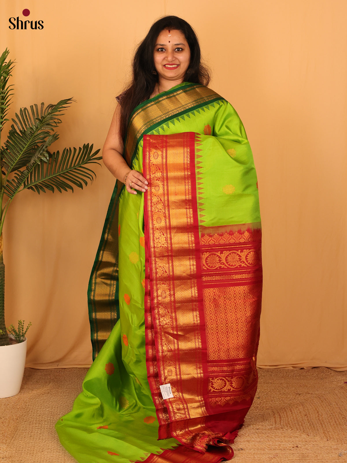 DAS09286 - Gadwal silk Saree