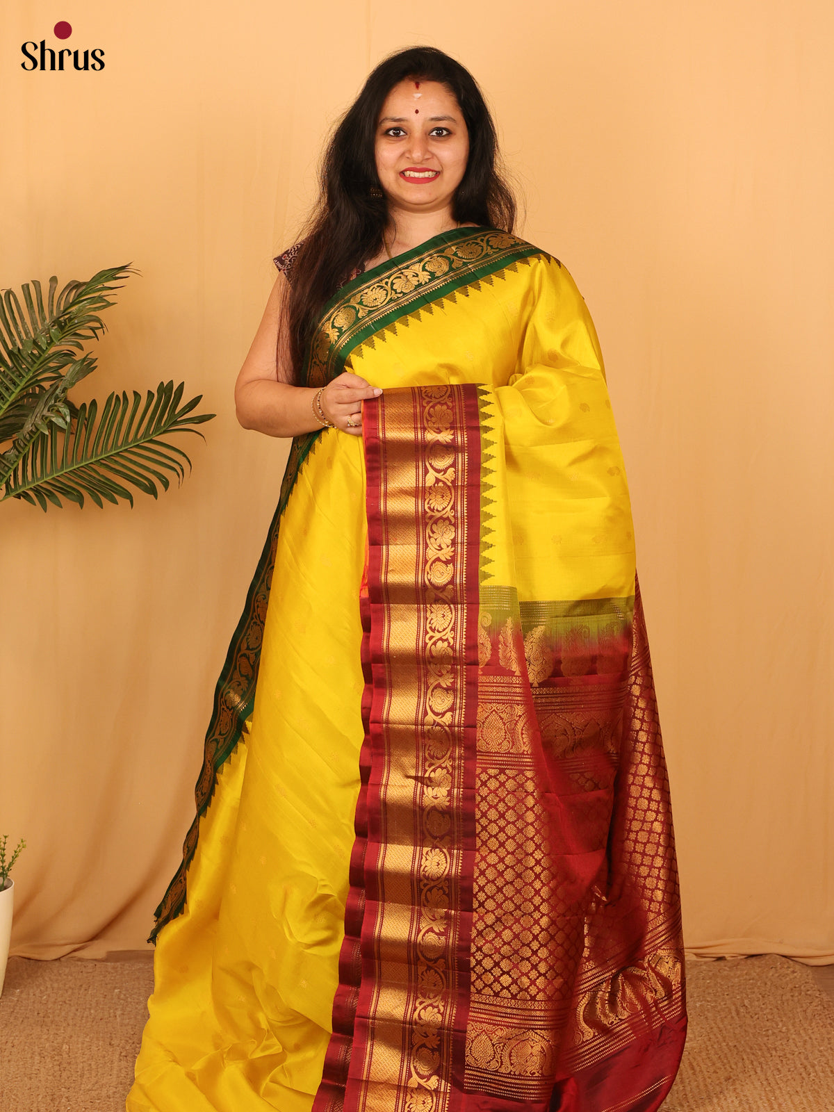 DAS09289 - Gadwal silk Saree