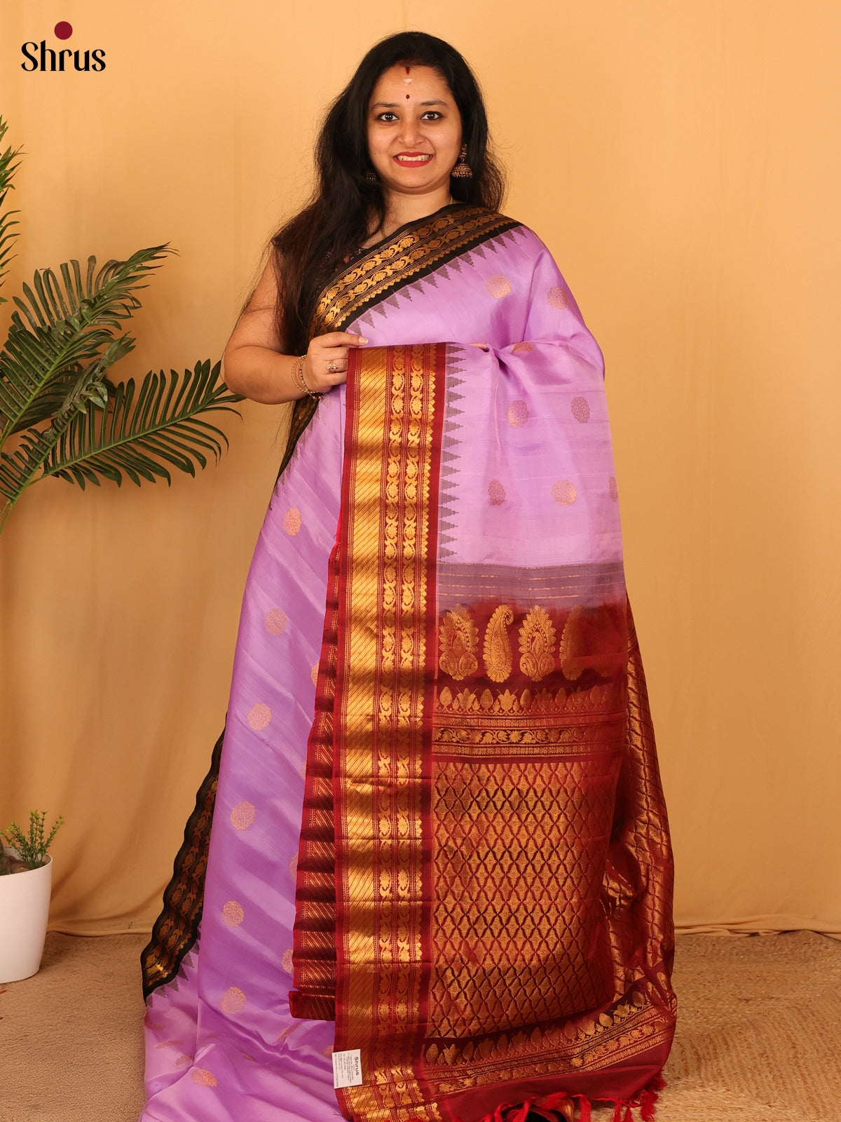 DAS09290 - Gadwal silk Saree