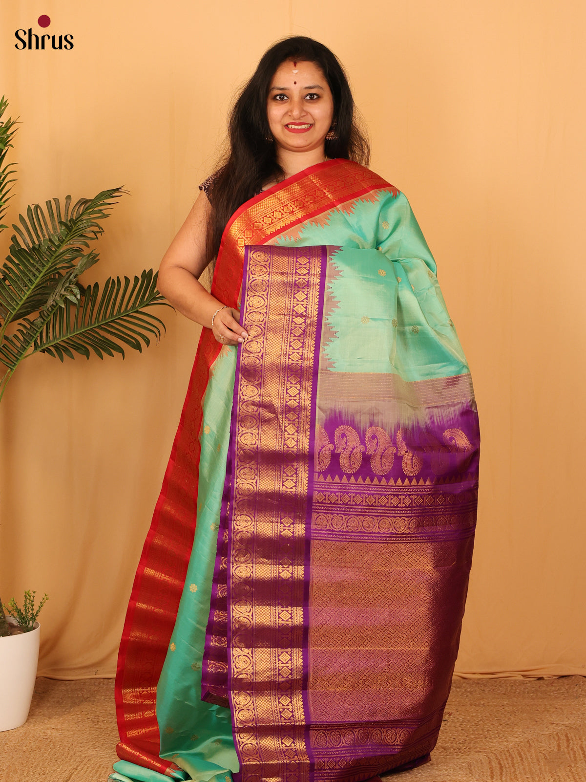 DAS09295 - Gadwal silk Saree