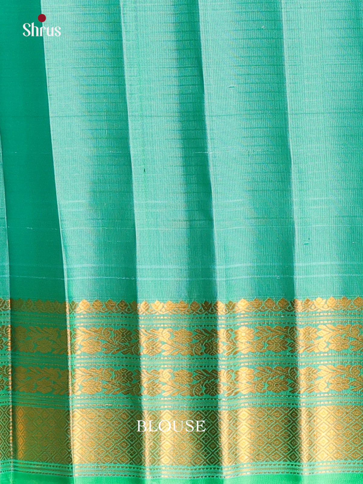 DAS09296 - Gadwal silk Saree