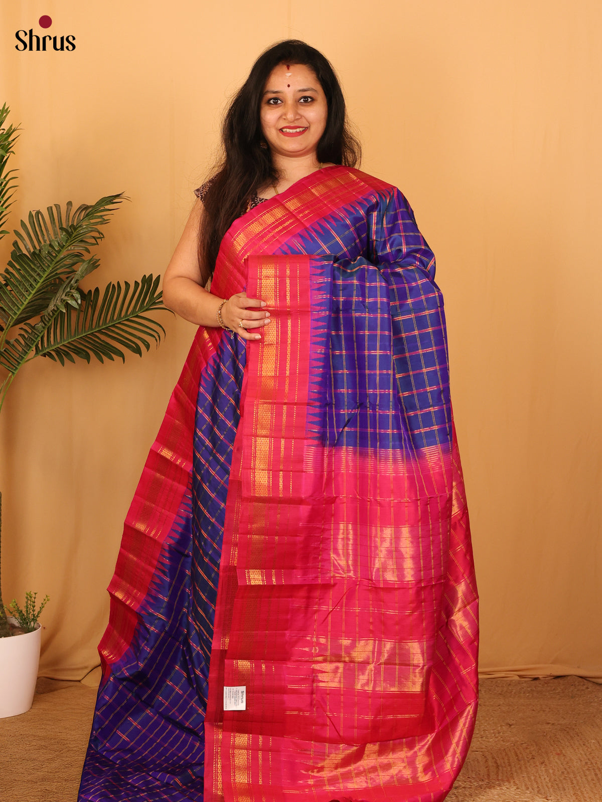 DAS09302 - Gadwal silk Saree