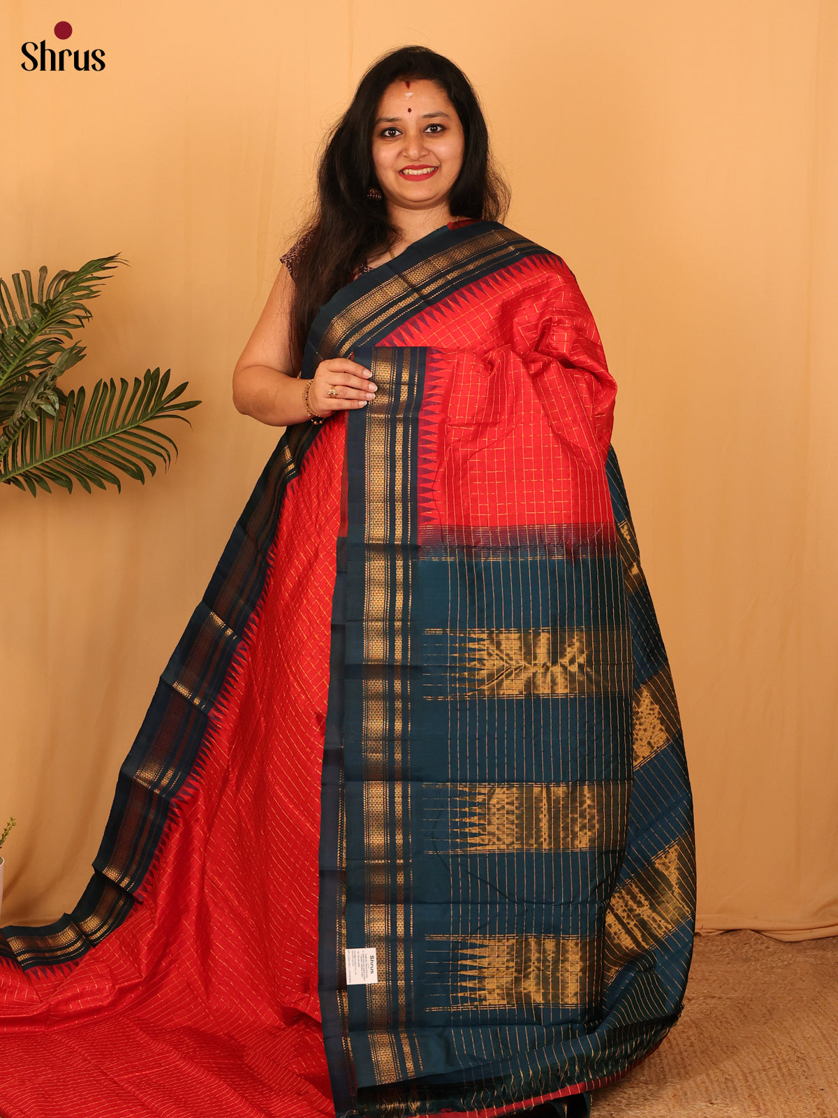 DAS09305 - Gadwal silk Saree